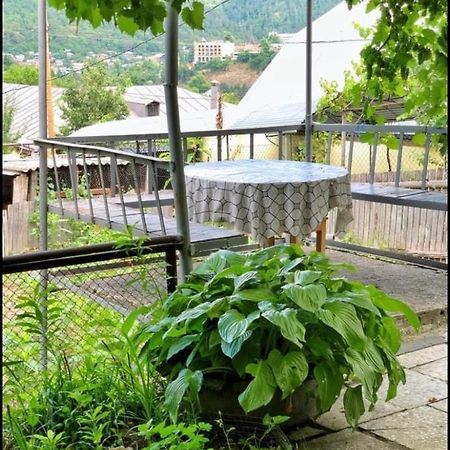 Achela'S Guesthouse Borjomi Dış mekan fotoğraf