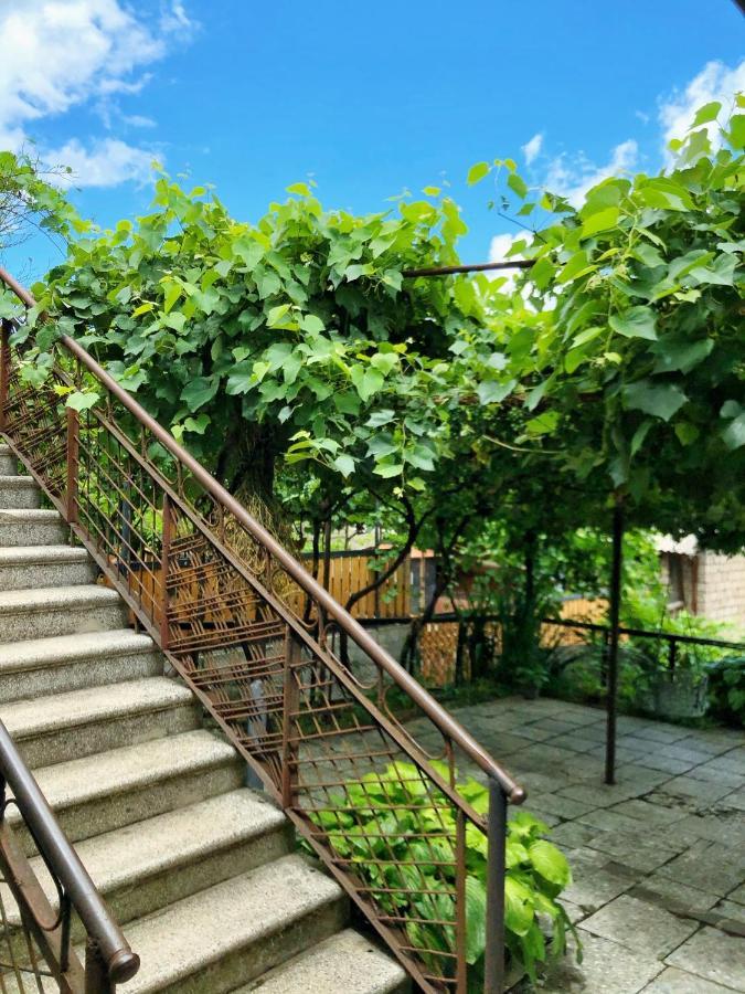 Achela'S Guesthouse Borjomi Dış mekan fotoğraf