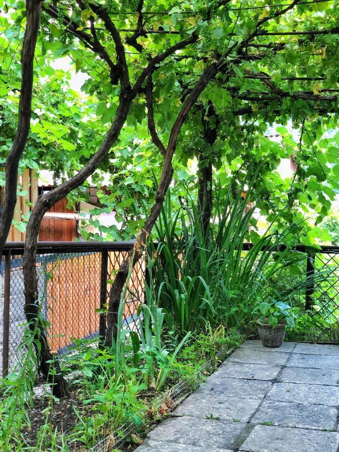 Achela'S Guesthouse Borjomi Dış mekan fotoğraf