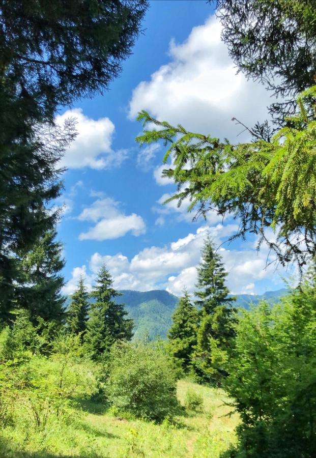 Achela'S Guesthouse Borjomi Dış mekan fotoğraf