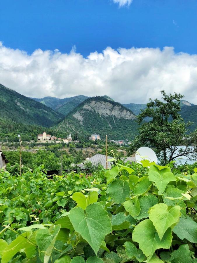 Achela'S Guesthouse Borjomi Dış mekan fotoğraf