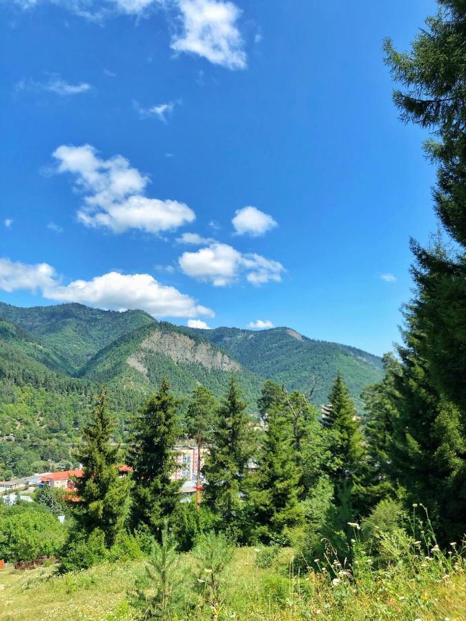 Achela'S Guesthouse Borjomi Dış mekan fotoğraf