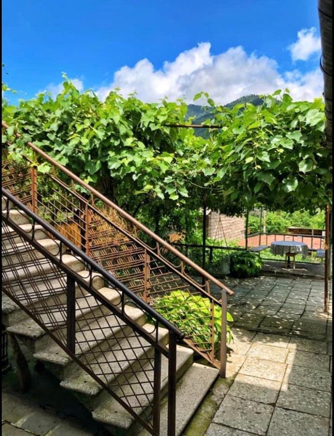 Achela'S Guesthouse Borjomi Dış mekan fotoğraf