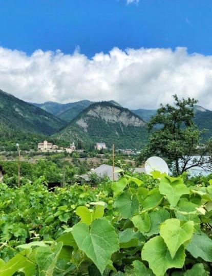 Achela'S Guesthouse Borjomi Dış mekan fotoğraf