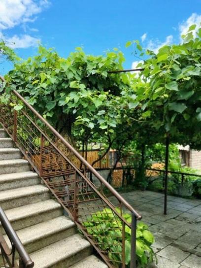 Achela'S Guesthouse Borjomi Dış mekan fotoğraf