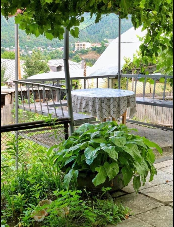 Achela'S Guesthouse Borjomi Dış mekan fotoğraf