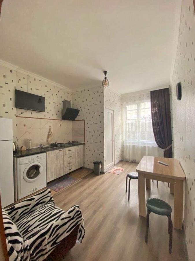 Achela'S Guesthouse Borjomi Dış mekan fotoğraf