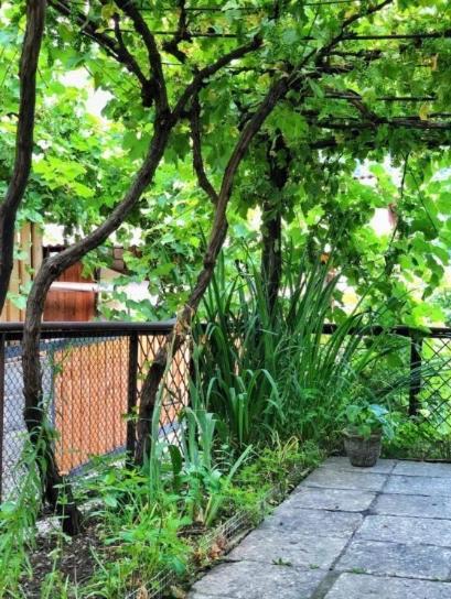 Achela'S Guesthouse Borjomi Dış mekan fotoğraf